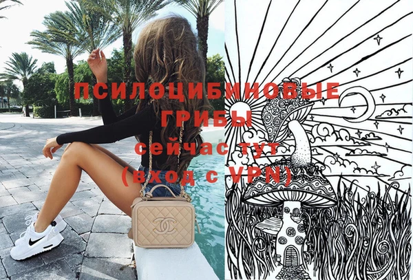 эйфоретик Медногорск