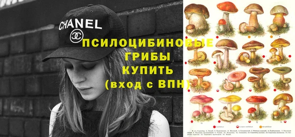 эйфоретик Медногорск