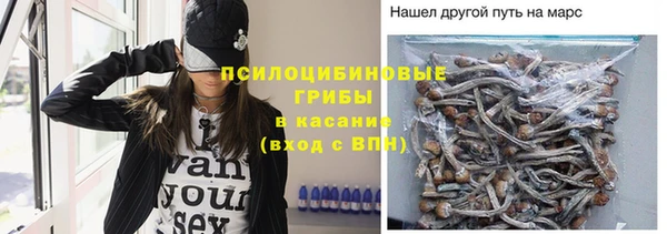 эйфоретик Медногорск